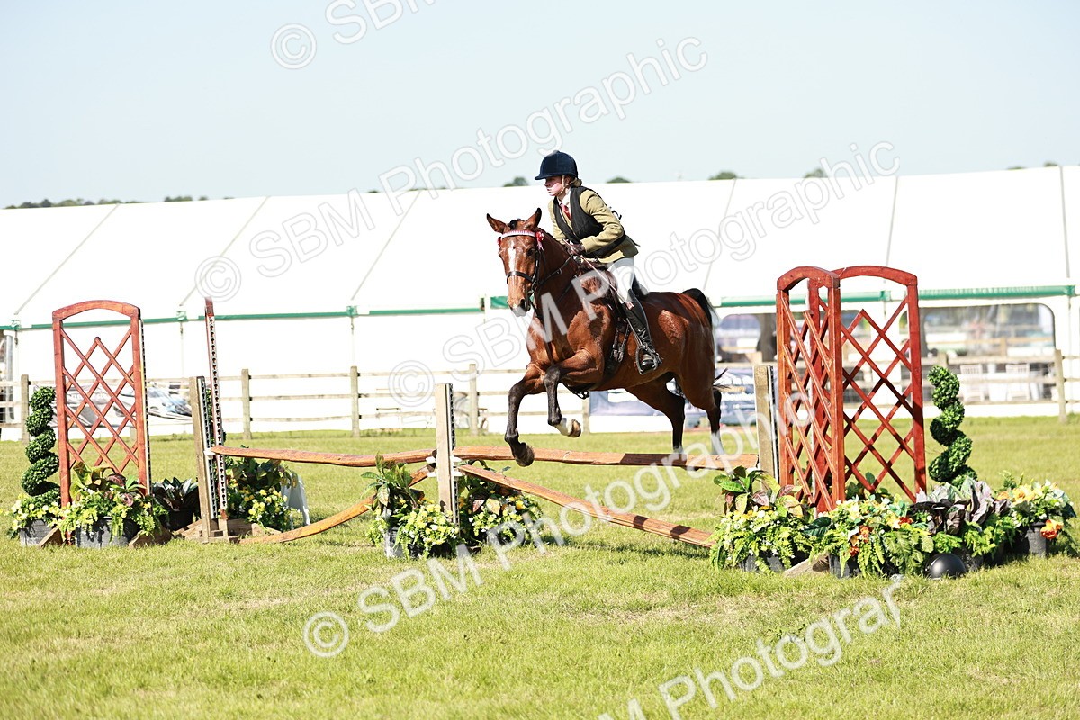 SBM_19130 - Class 115-116 - LIHS BSHA Rising Star Working Hunter & Show Horse