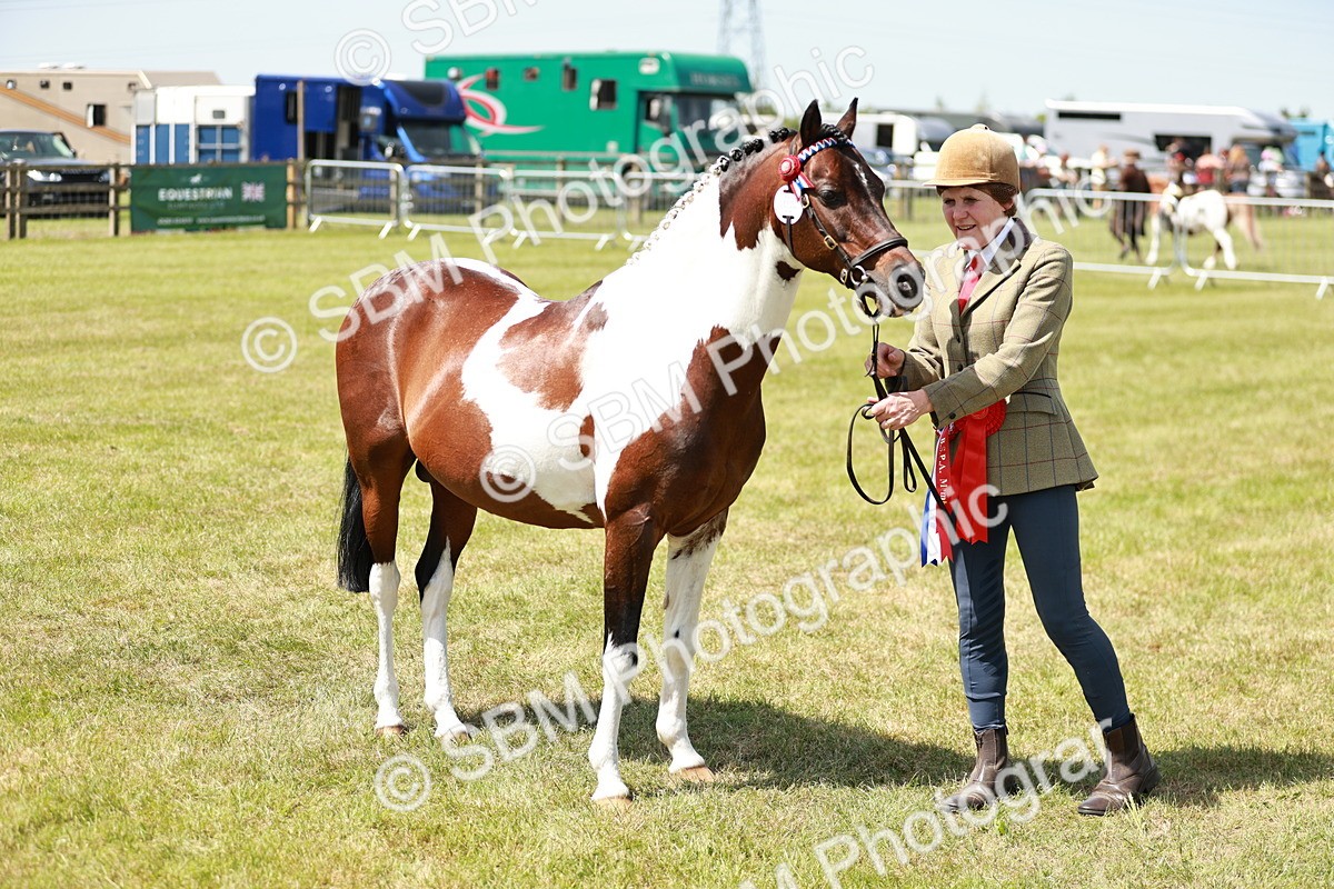 SBM_05472 - Class 39-40 - BSPA Coloured In Hand