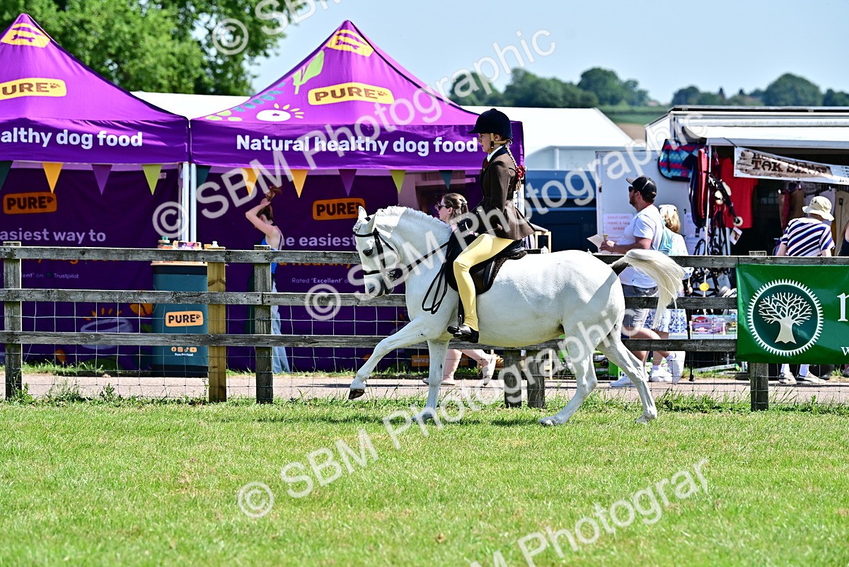 SBM_13901 - Class 95-97 - BSPS LHS Performance Ponies