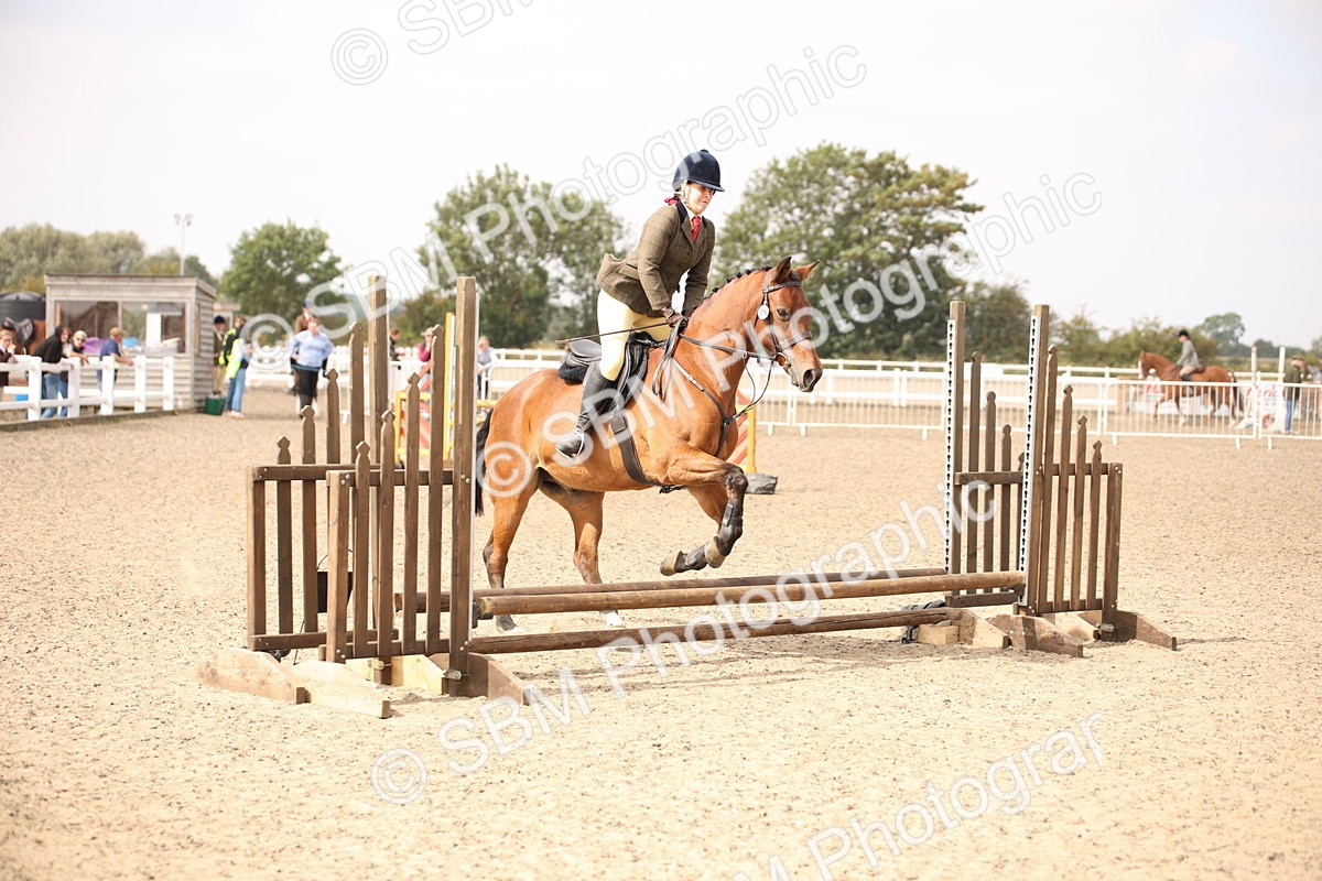 SBM_12909 - Class 406a - Working Veteran 50cm (15-19)