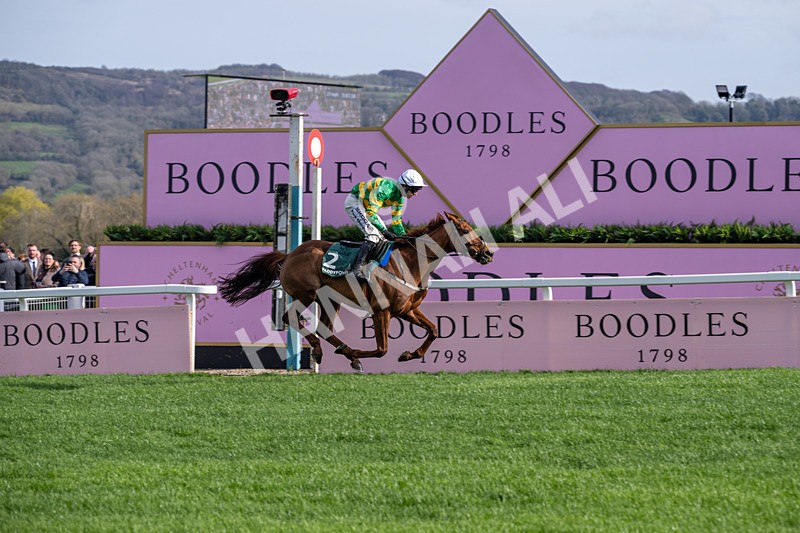 130326-Race 3-Dinoblue-2044 - 13th March