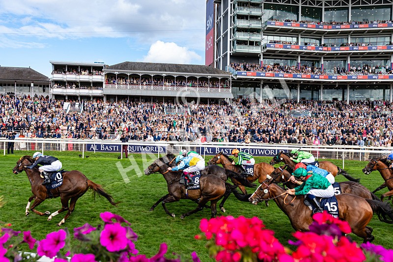 210826-Race 4-Bacio-6466 - Race 4 15.35pm Coolmore City Of Troy Nunthorpe Stakes