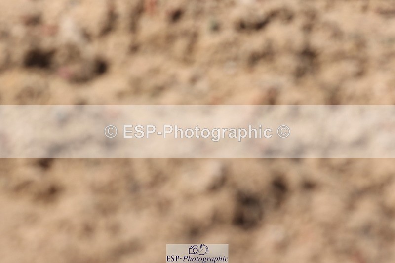 240706A-162350-04390 - Cls 9 RT Novice 27