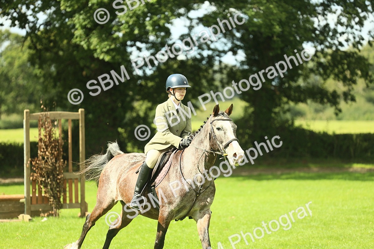 SBM_42134 - S29 - Novice & Newcomers Working Hunter Pony