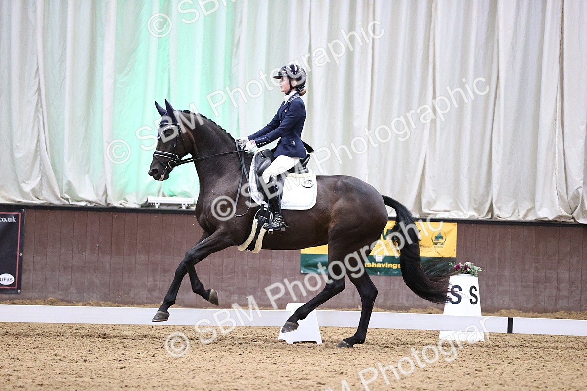 SBM_008177 - Class 15 - FEI Junior Pony Team-YR-COH