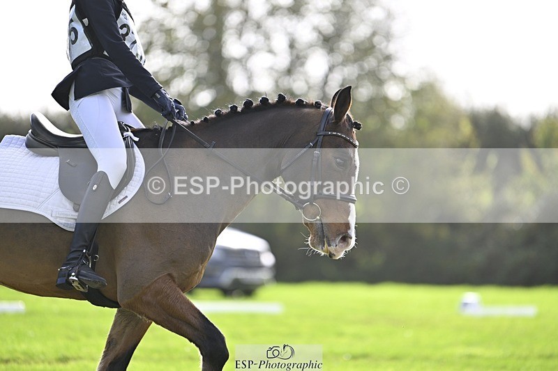 241025-120928-07024 - 375-Erin.Brown-50.SHADES.OF.BAY