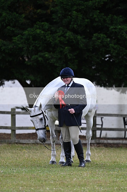 WJ7_7174 - Class 5a Most Handsome Gelding in Hand