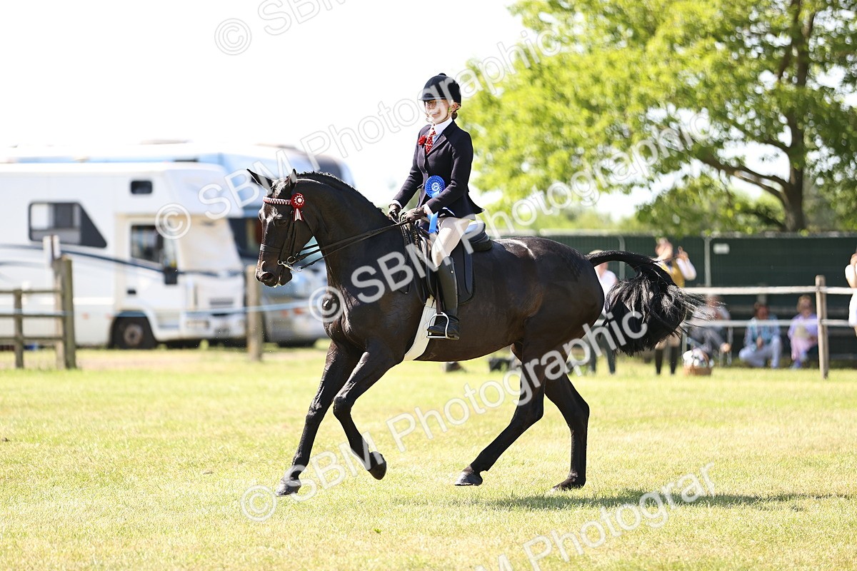 SBM_18107 - Class 81-83 - TSR Ridden Amateur of the Year - Horses