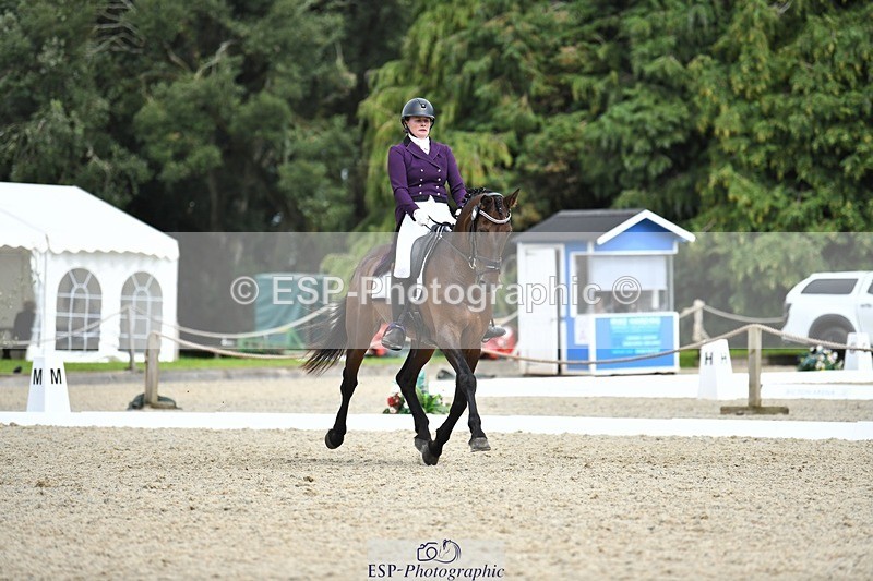 230812-134236-04479 - Cls 7 FEI PSG Bronze