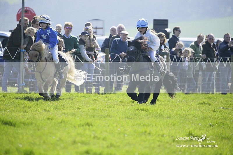 PtP 190322 70 - Wilton Hunt PtP Milborne St Andrew 19/03/22