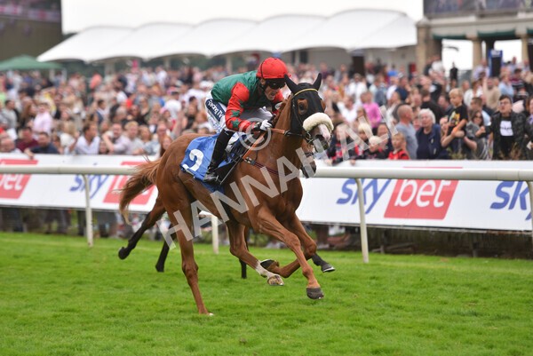 yr24072021r7-55 - Race 7 5.35pm The Sporting Life Fast Results Stakes