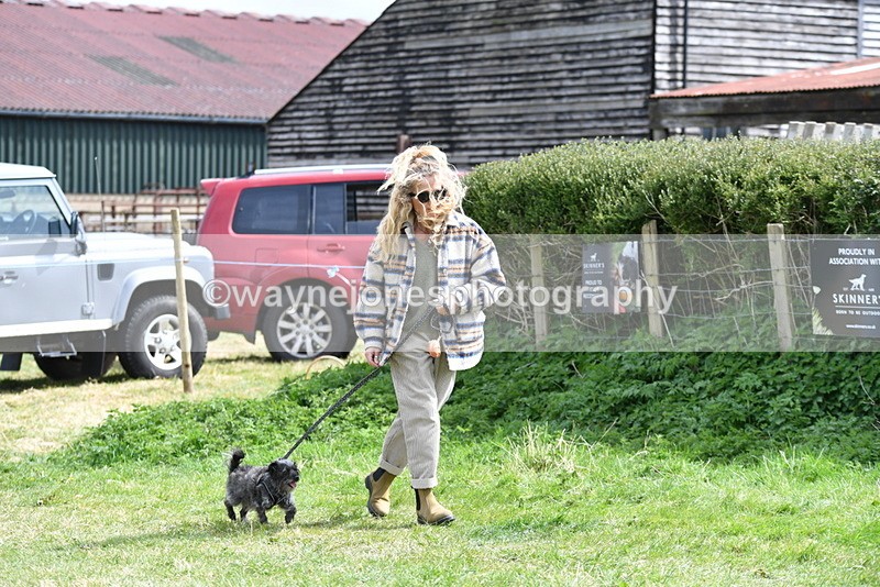 WJ5_9656 - Class 3 Most Handsome Dog