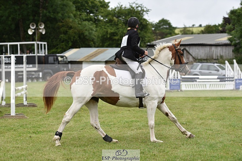 140102-205620-01899 - BE 90 SJ 10-00 to 11-00