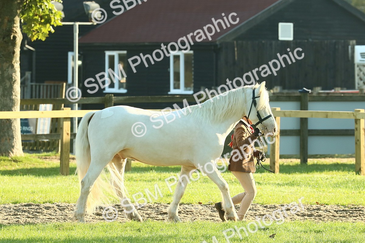 SBM_57372 - S37 - Starters In Hand Showing
