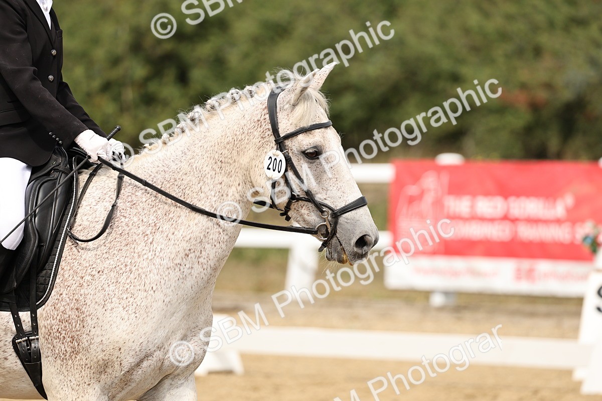 SBM_013160 - Class 3 - Novice 4 - 11.43-12.25