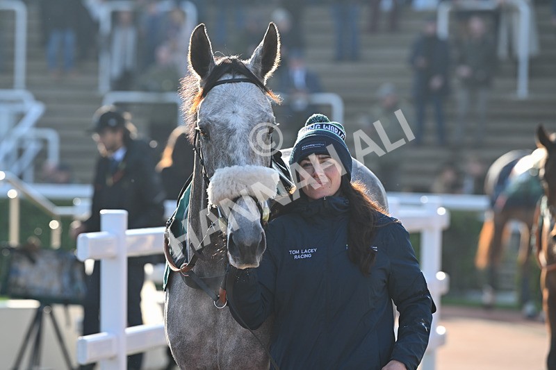 151124-Race 1-Paddock-Tune In A Box-7033 - Race 1