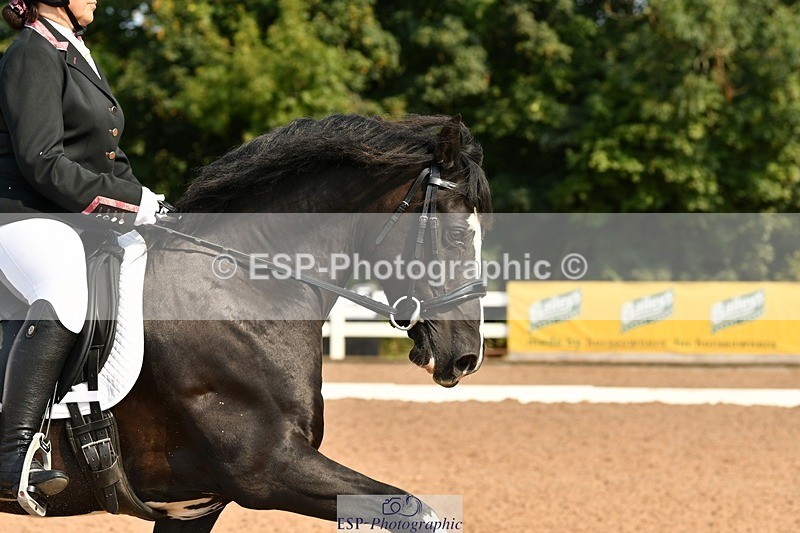 250817-103205-07904 - 169-Amber.HeywoodWalena.Rockocoko