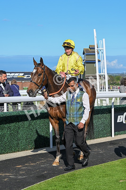 240425-Race 7-Mister Daydream-1826 - Race 7