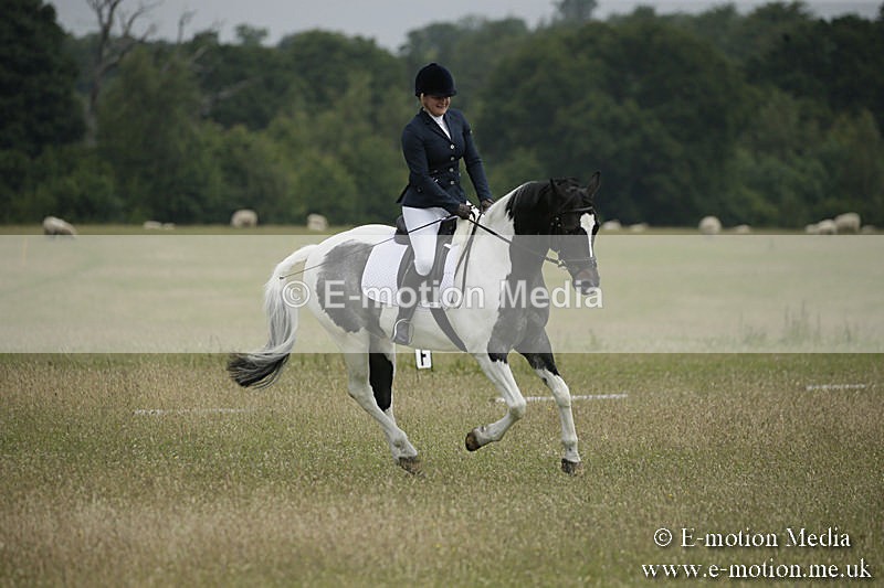 B230619-0382 - Bourne Valley Riding Club Summer Show 23/06/19