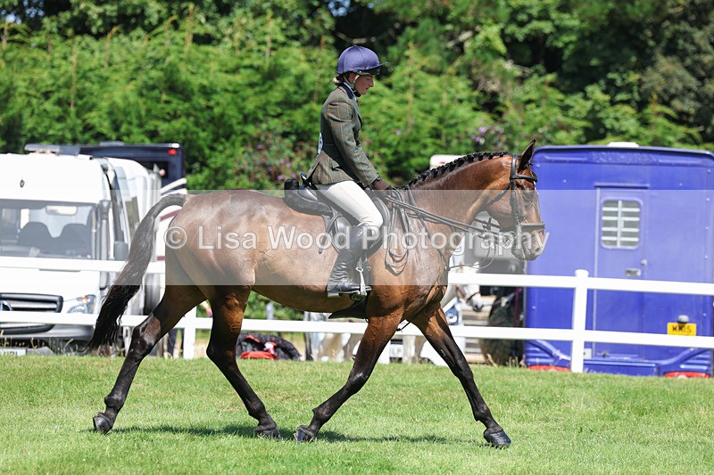 3E7A8947 - Class 6: Open Working Horse