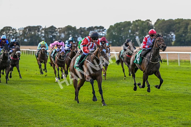 140926-Race 2-Bladey Lady-6813 - Race 2 2.51pm Patrick Hibbert-Foy Memorial Nursery Handicap