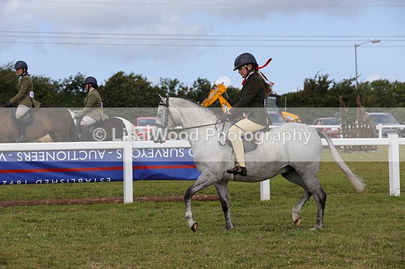 1X9A4030 - Class 32: Show Hunter Pony 153cm and under