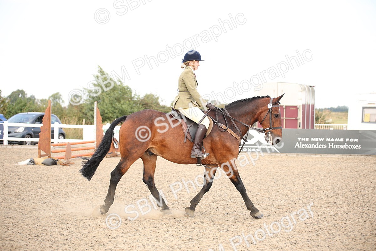 SBM_16044 - Class 408b - Working Veteran 70cm (20+)