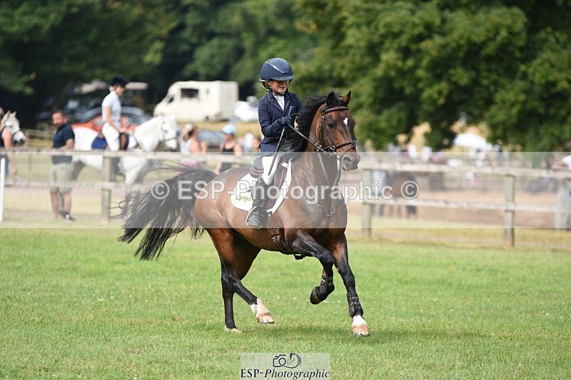 230617-100310-01764 - Cls 15 British Novice & 80cm Open