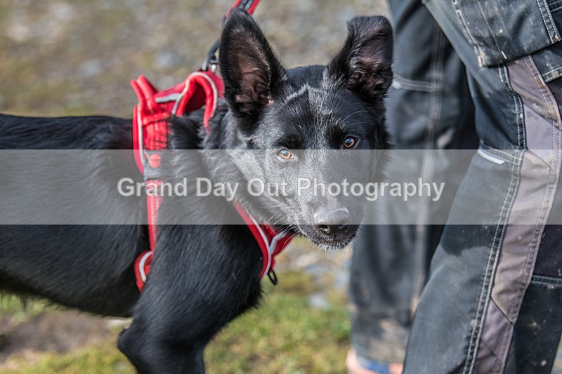 Blencathra-16 - Blencathra Fell Race Wednesday 5th June 2024