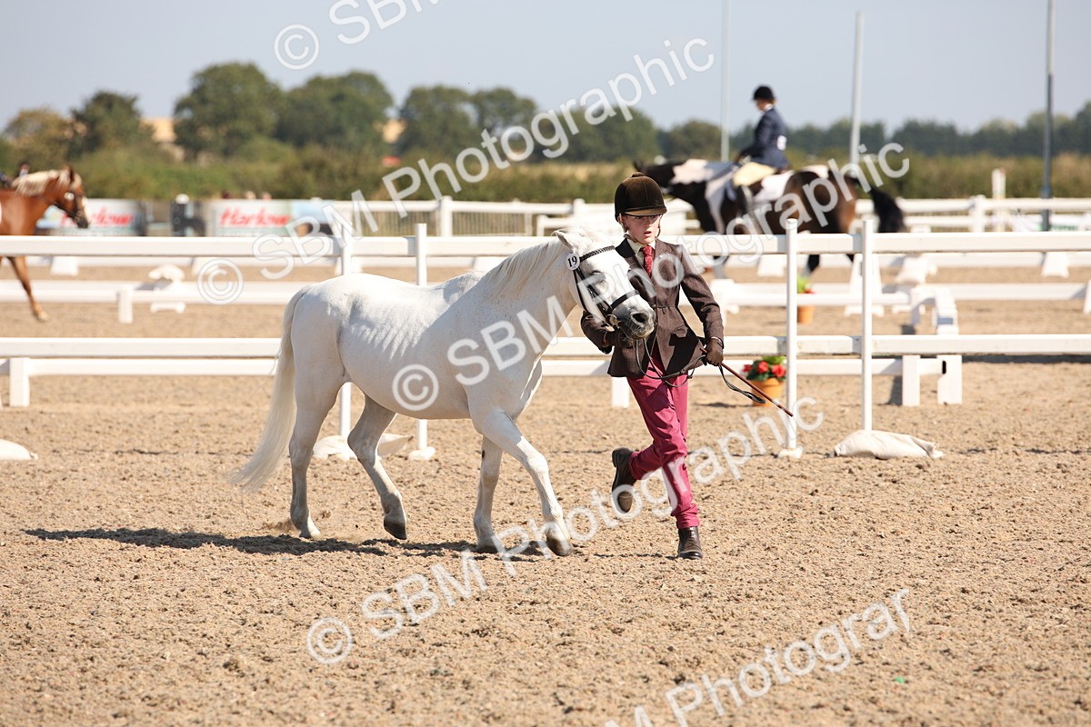 SBM_02718 - Class 16 IH M&M Wildcard