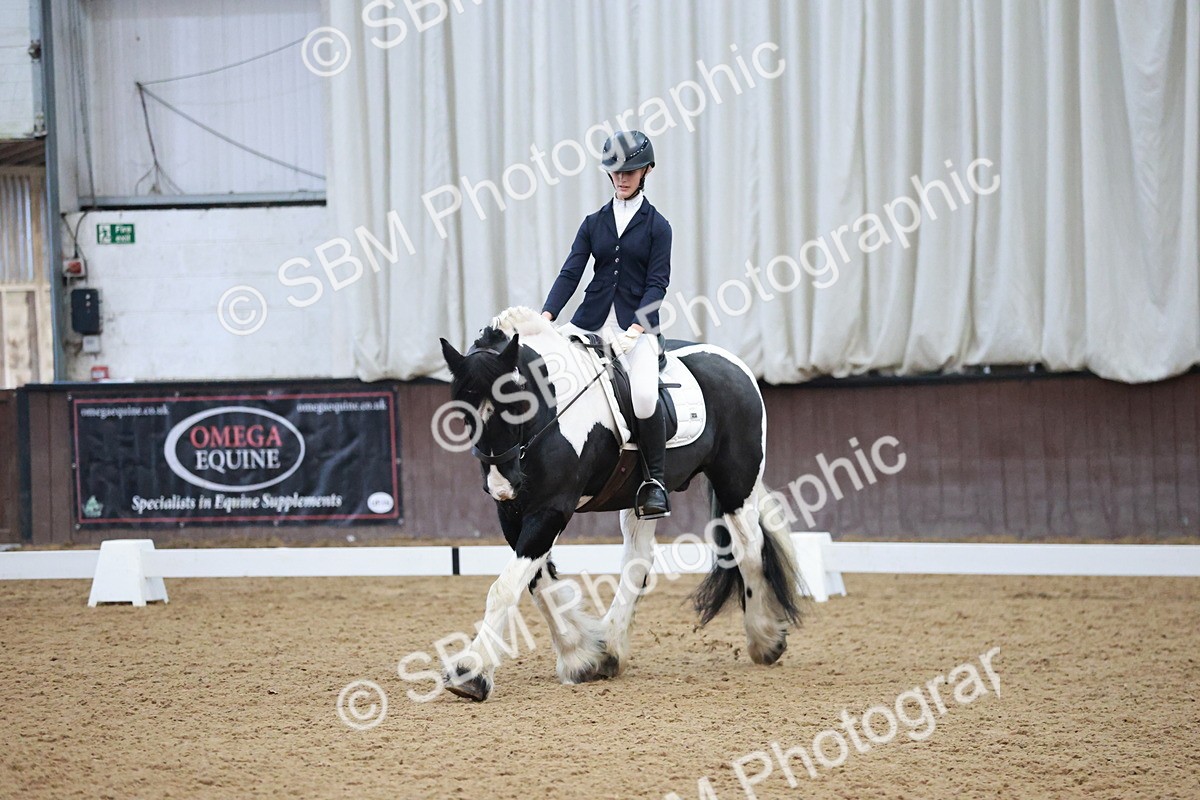 SBM_004556 - Ring 3 - International -  Working Hunter Classes 23-2-25