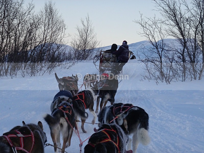 Just skirting the hill... - Abisko, North Sweden