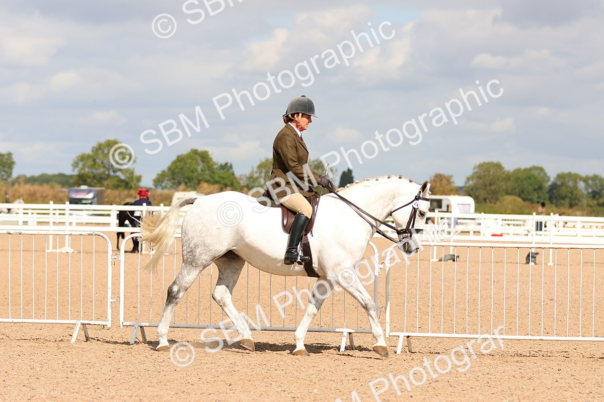 SBM_13185 - Class 211 - Ridden Hunter - Small