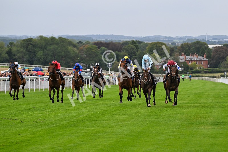 290826-Race 3-Fans Favourite-6429 - Race 3 2.55pm Dearing Plastics Celebrating 40 Years Handicap