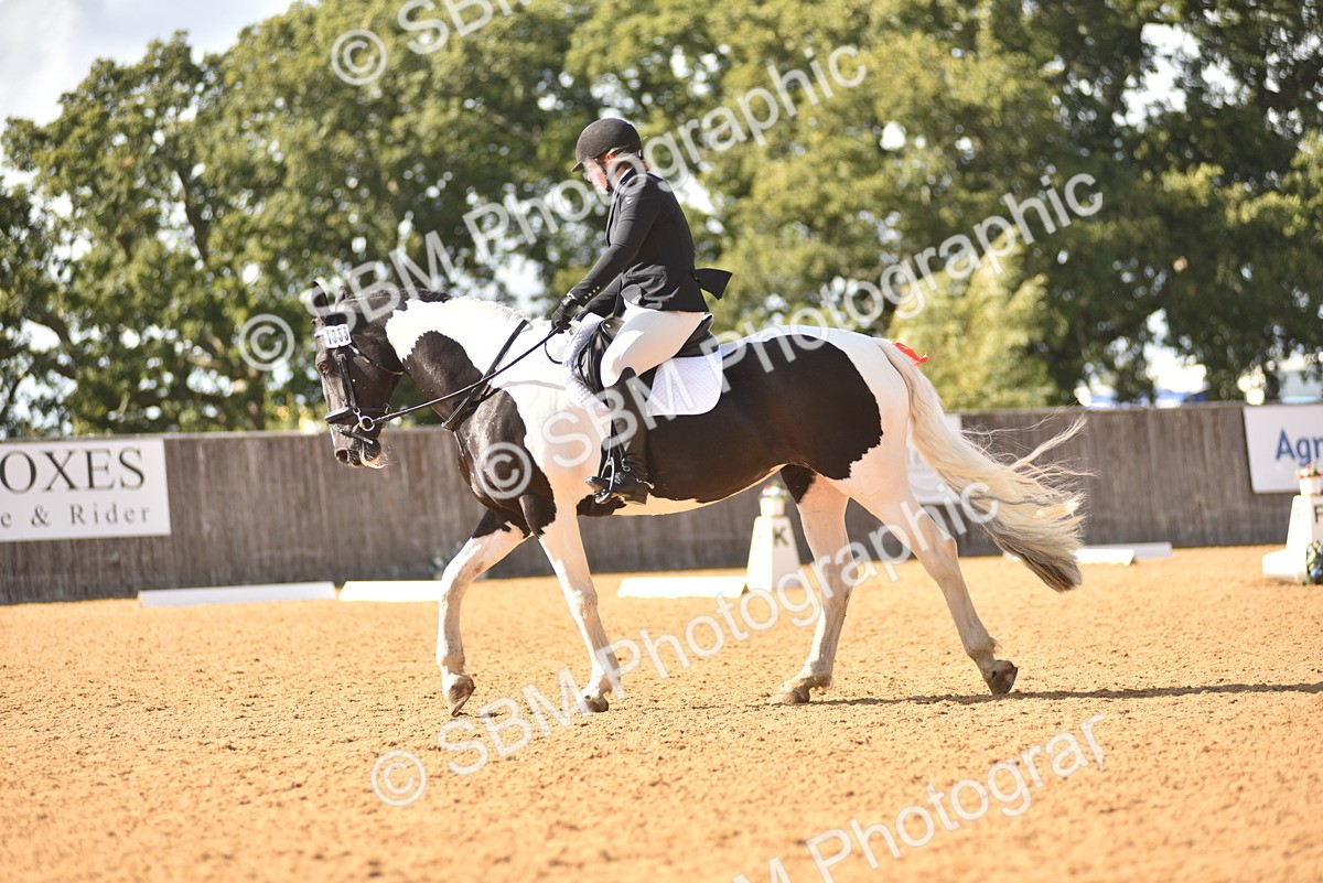 SBM_24314 - D4 - Small Tour Championship Intro 4