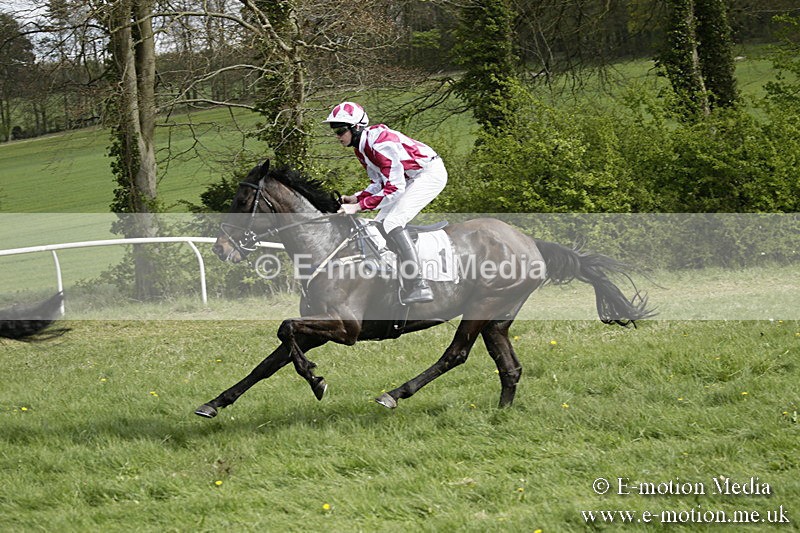 PtP 170417 304 - Old Berks Point-to-Point Lockinge 17/04/17