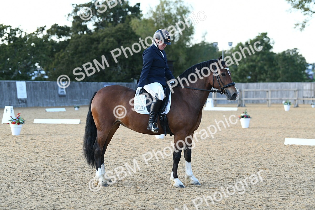 SBM_30953 - D16 - Small Tour Championship - Novice 28