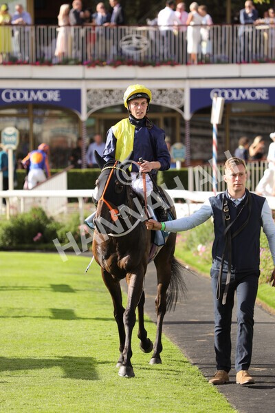 yr19082022r7-43 - Race 7 5.20pm Sky Bet Mile Stakes