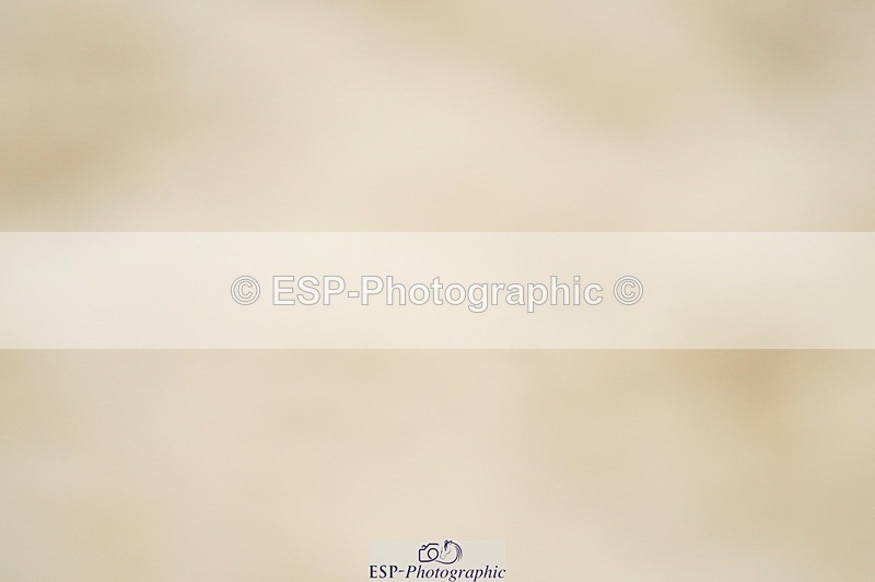 240309-111006-00285 - Cls 01 AE 70cm