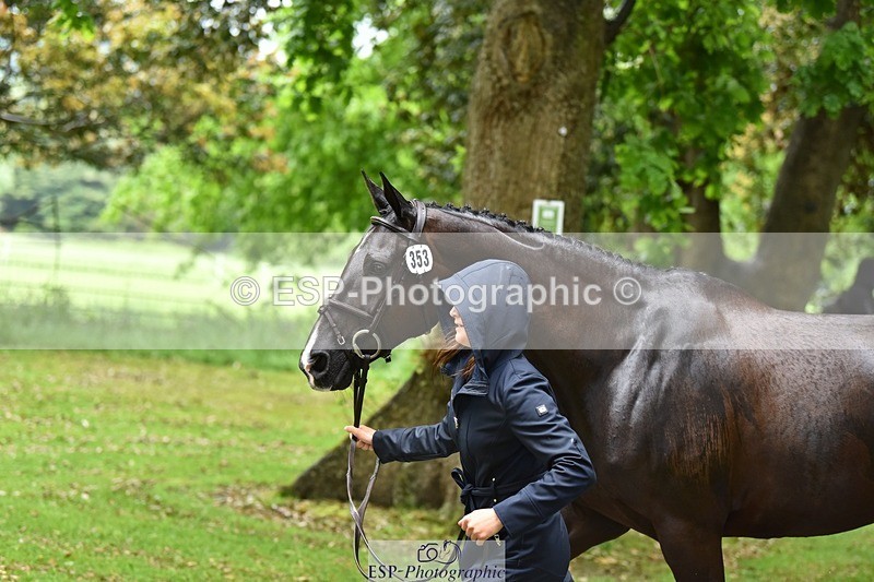 240522-154022-00517 - 353-BIKINI-Rose_De_Montmorency