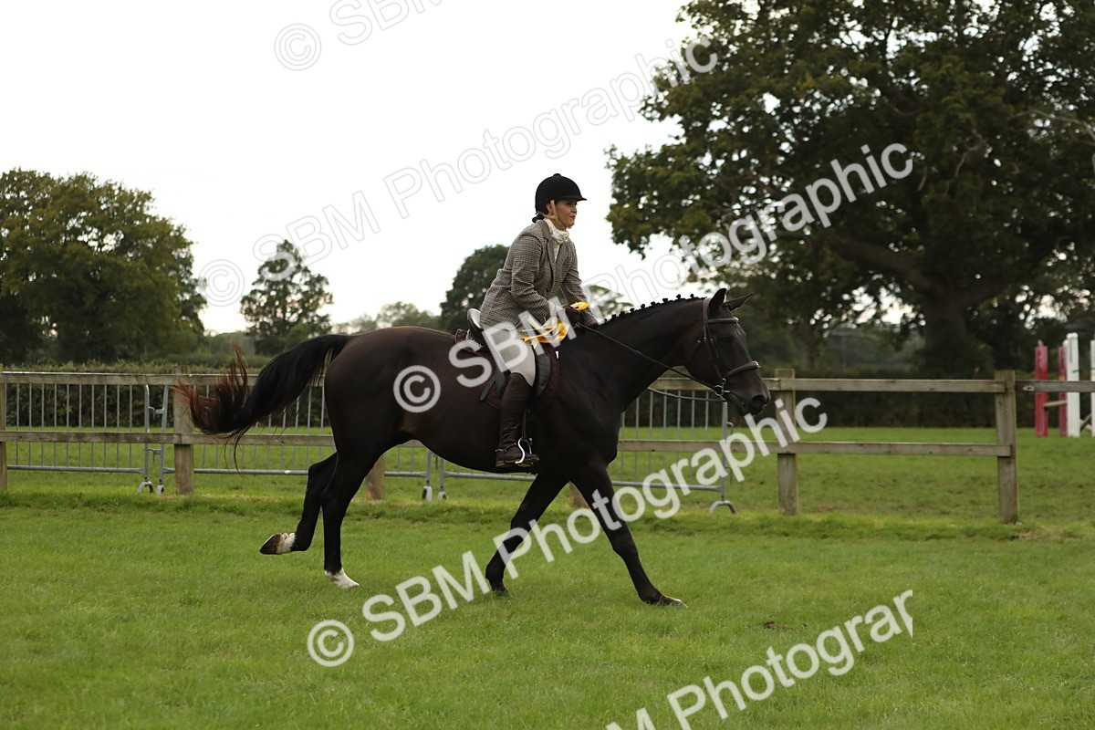 SBM_73894 - S41 - Ridden Equitation (Best Rider)