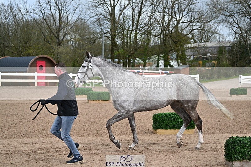 240417A-113536-00039 - 11am to 12pm