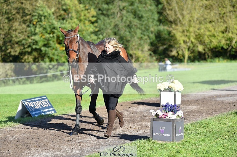 231022-102400-22452 - 478-SOARING.HEIGHTS-Samantha.Shaw-TrotUp+SJ