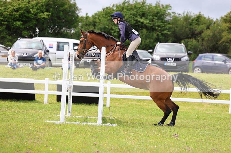 3E7A7625 - Class 13: Senior British Novice/90cm open