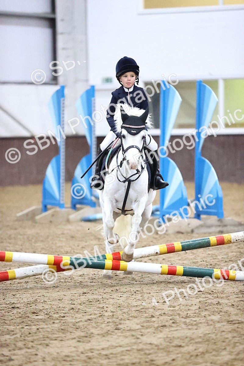 SBM_000099 - Class 1 - Fox Farriers 30cm