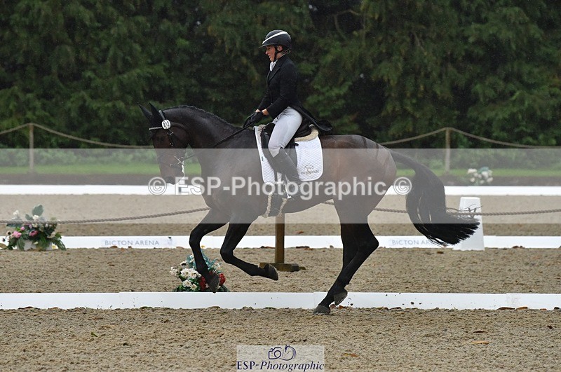 231018-154456-00864 - 012-ROMANY.CRICKET-Nana.Dalton-DR