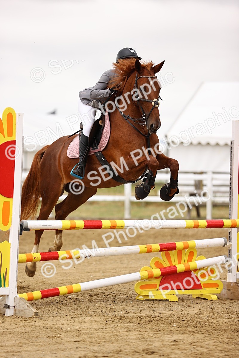 SBM_024788 - Class 9 - Senior British Novice - 90cm