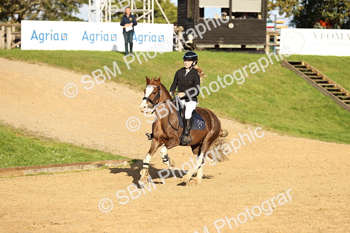 SBM_52018 - J10 - Junior Pony 75cm Championship