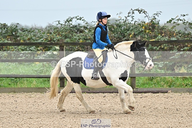 241110-095408-00120 - 40cm Showjumping