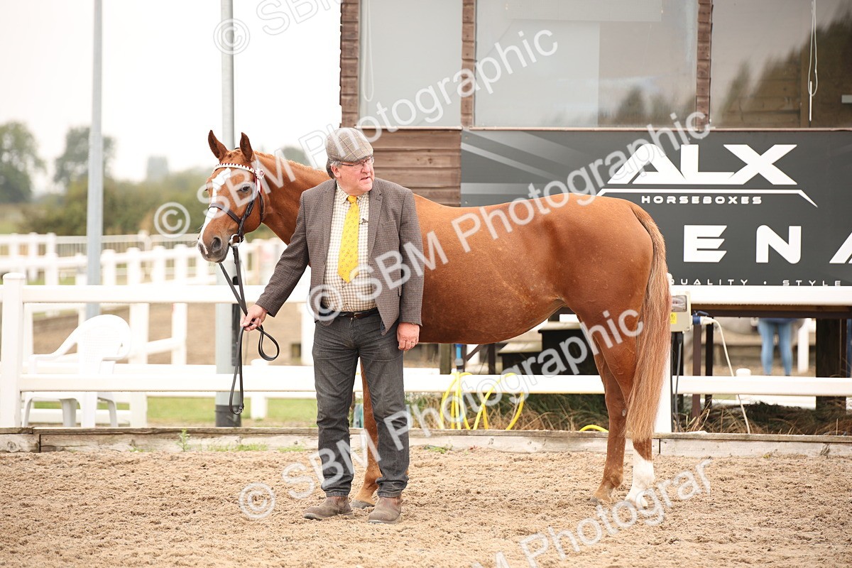 SBM_22164 - Class 707 - Ridden Groom-Helpers Class